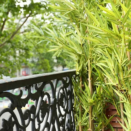 Apartment Center Of By Prestige